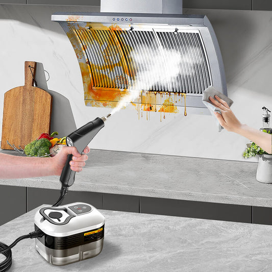 Nirovale SteamPro 2500